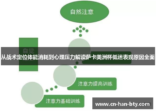 从战术定位体能消耗到心理压力解读萨卡美洲杯低迷表现原因全面